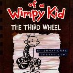 Diary of a Wimpy Kid (The Third Wheel) Story