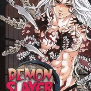 مانگا Demon Slayer 22