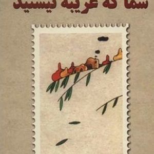 شما که غریبه نیستید